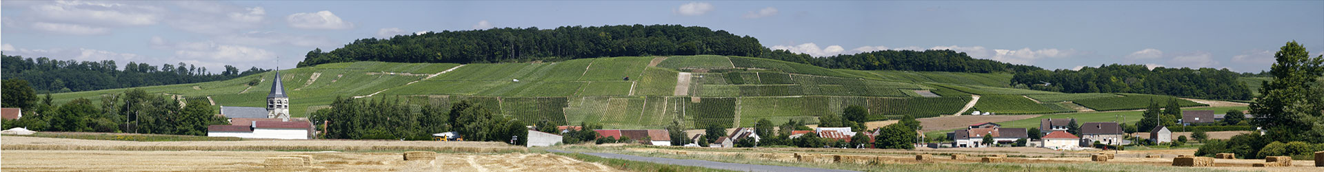 Paysage de Champagne